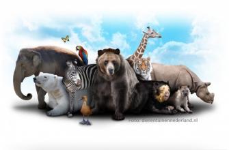 Ontwerp je eigen dierentuin Ontwerp je eigen dierentuin