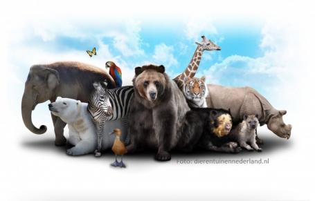 Ontwerp je eigen dierentuin